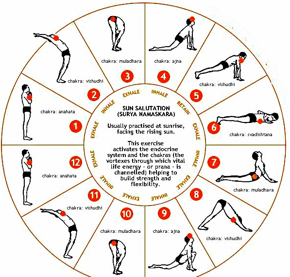 The Chakras and the Sun Salutation