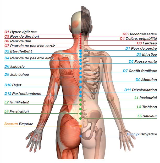 Émotions cristallisées sur colonne vertébrale