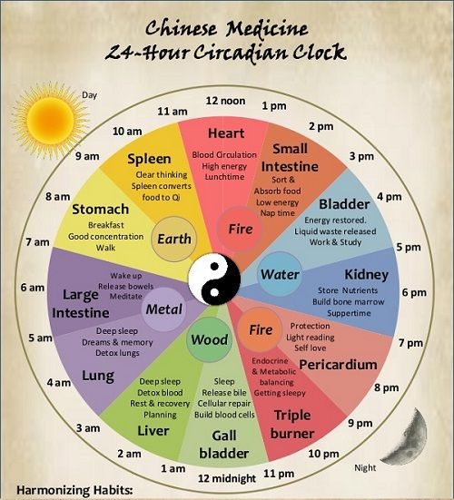 
biological clock with waking hours in connection with different organs generating insomnia